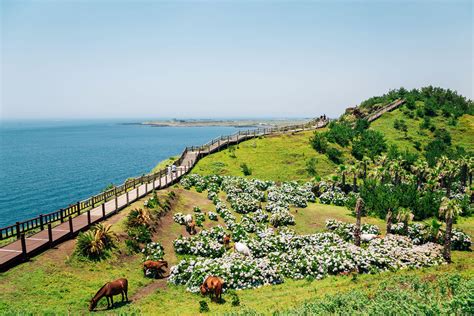 제주도 오름 추천: 화산과 바람의 춤을 따라